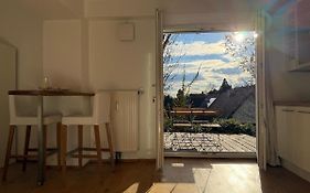 Cozy Studioapartment With Graden In Graz Free Parking